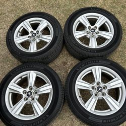 Mustang Stock Rims