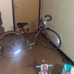 World Tourist Schwinn Red ALL ORIGINAL PARTS