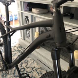 Avalanche on sale expert 2020