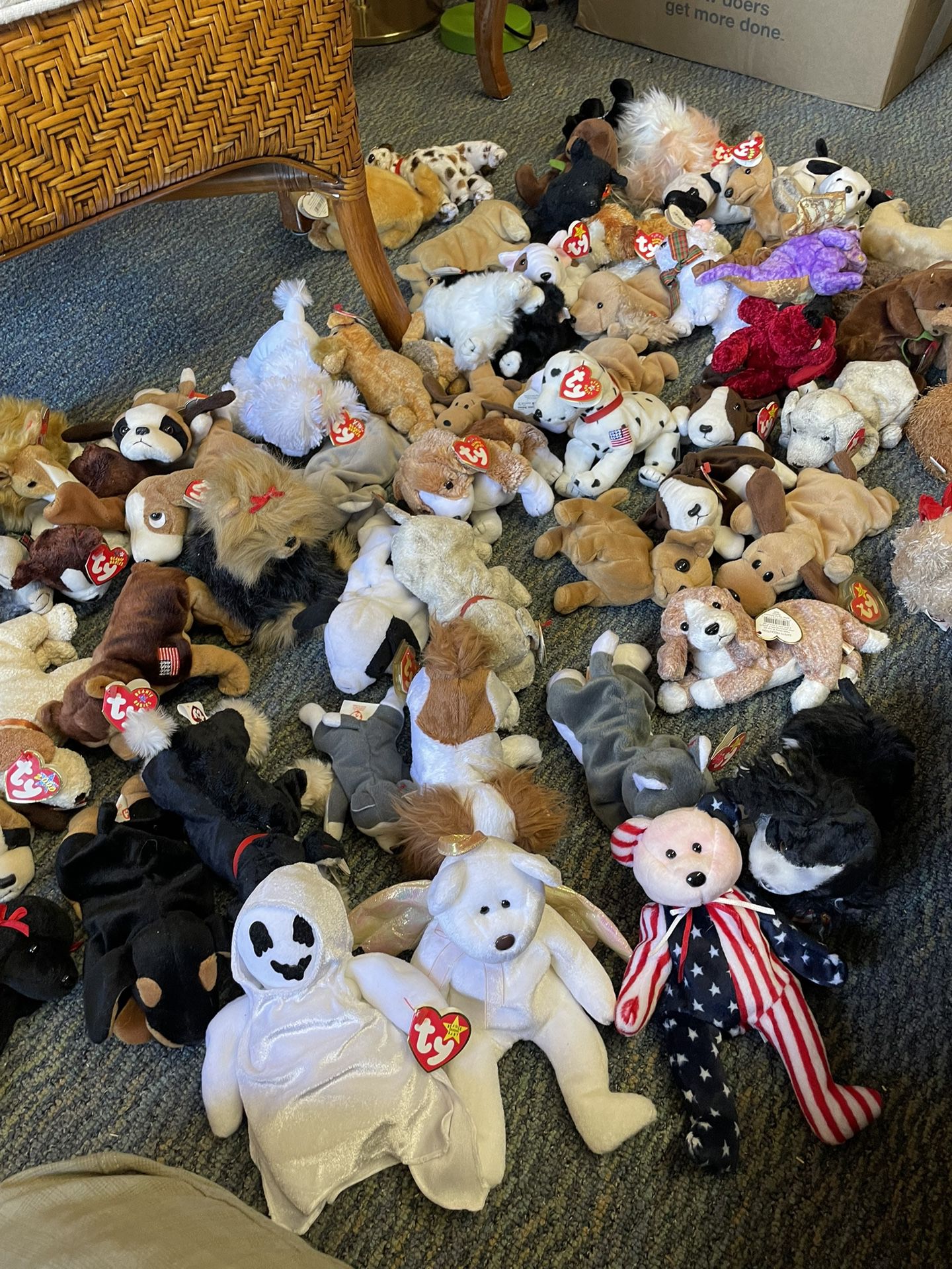 Collection of beanie babies on you not damaged at all in mint condition collection