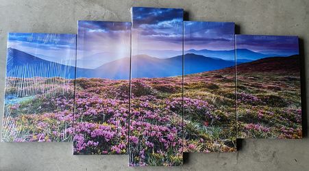 5 Peice Canvas Painting (floral Meadows )