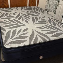 Queen Pillow Top Mattress And Box Spring