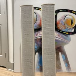 PROFESSIONAL SPEAKERS – Renkus-Heinz Iconyx IC8-R-II (PAIR)