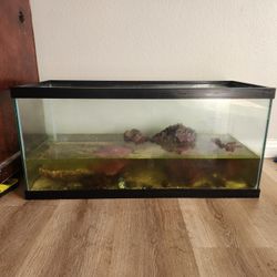 40 Gallon Aquarium Fish Tank