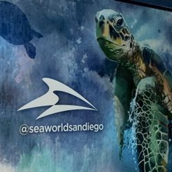 SEAWORLD SAN DIEGO CHRISTMAS 🎅 🎄