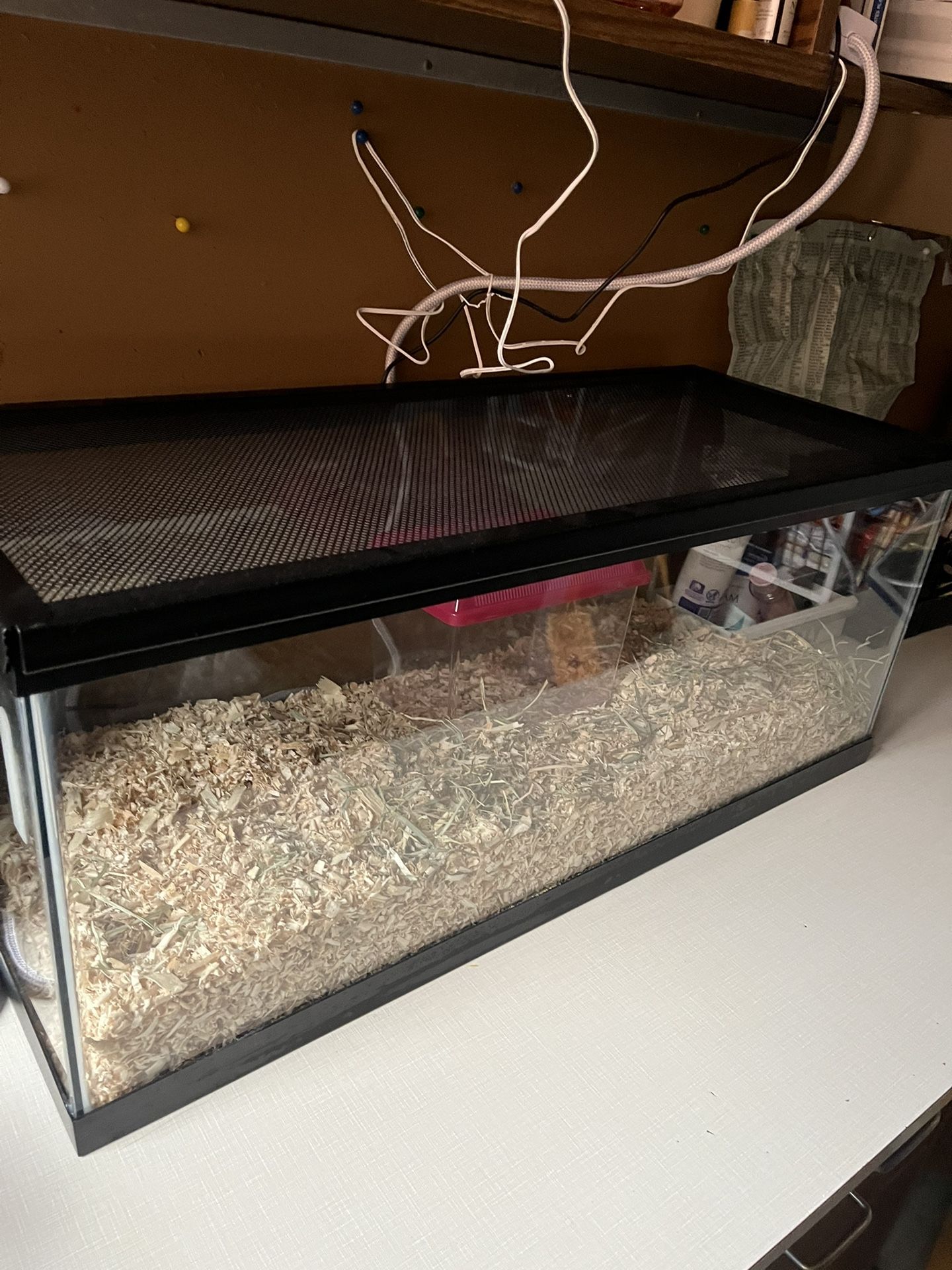20 Gallon Tank