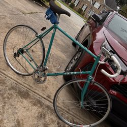 Trek Pro Series Road Bike