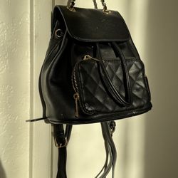 Black Quilted Mini Backpack Purse – Gold Chain Detail