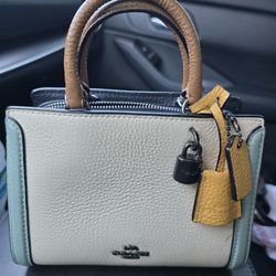 Mini Coach Purse 