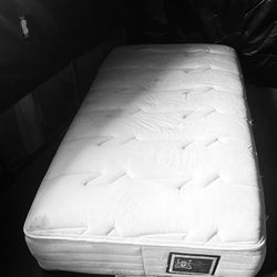 Kings Down Perfect Partner Sleep To Live Pillow top Twin Mattress 