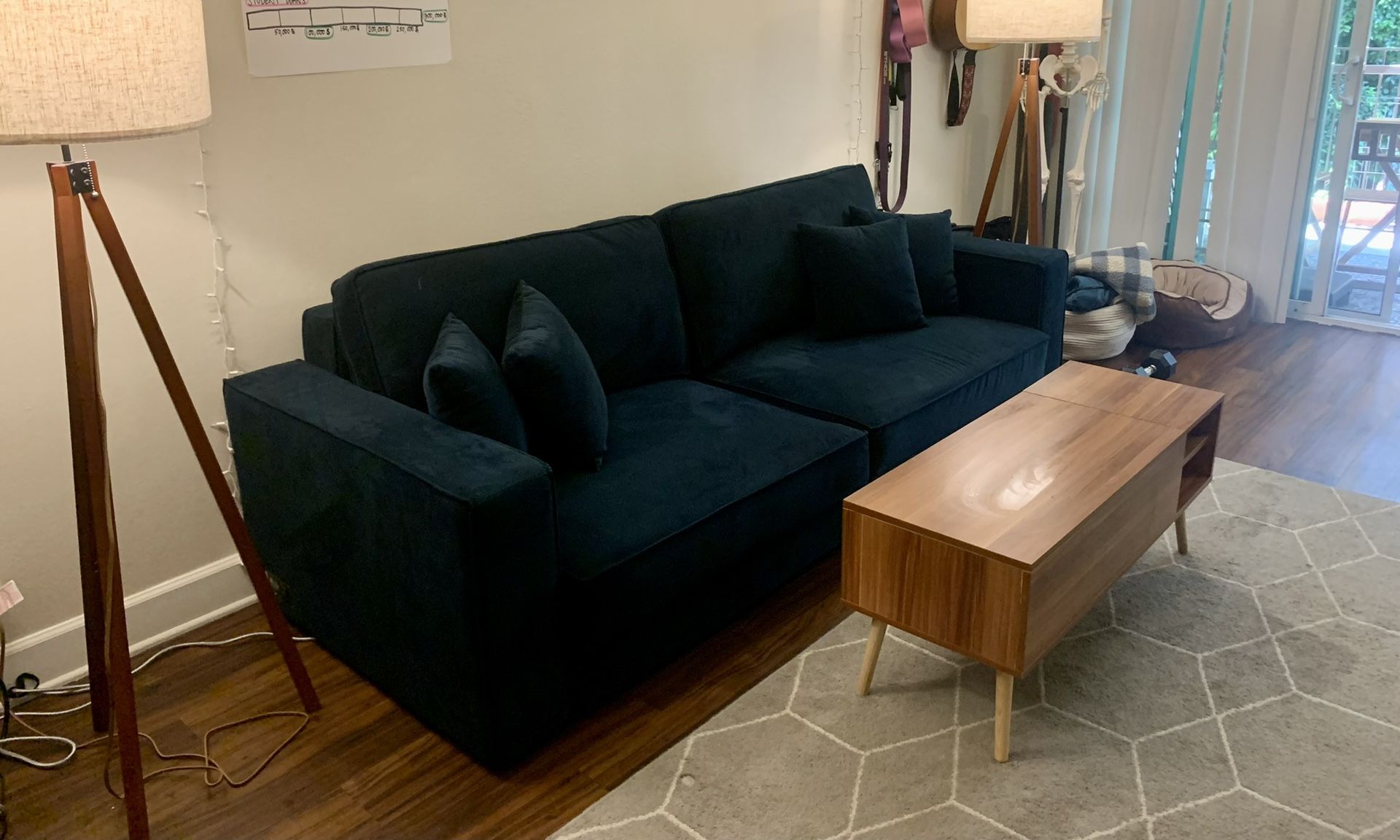 Coddle Queen Switch Sleeper Sofa Bought New 2022