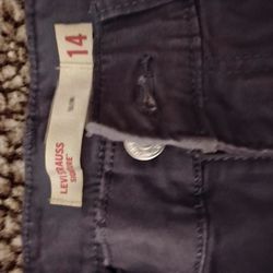 Levi Signature Jeans