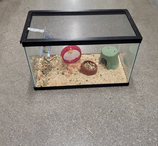 Two Pet Tanks / Aquariums