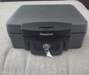 Sentry Safe