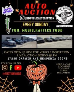 Public Action Sunday Free Entry