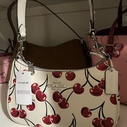 Coach Teri bag brand new