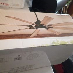 Home Decorators Makenna 60 Inch Ceiling Fan.