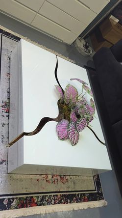 DESIGN COFFEE TABLE WHITE GLOSSY GOLD 47”