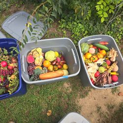 Fake Fruit And Veg And Bread. Totes Not Inclued All 