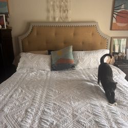 Free King Size Bed Frame & Box Spring 