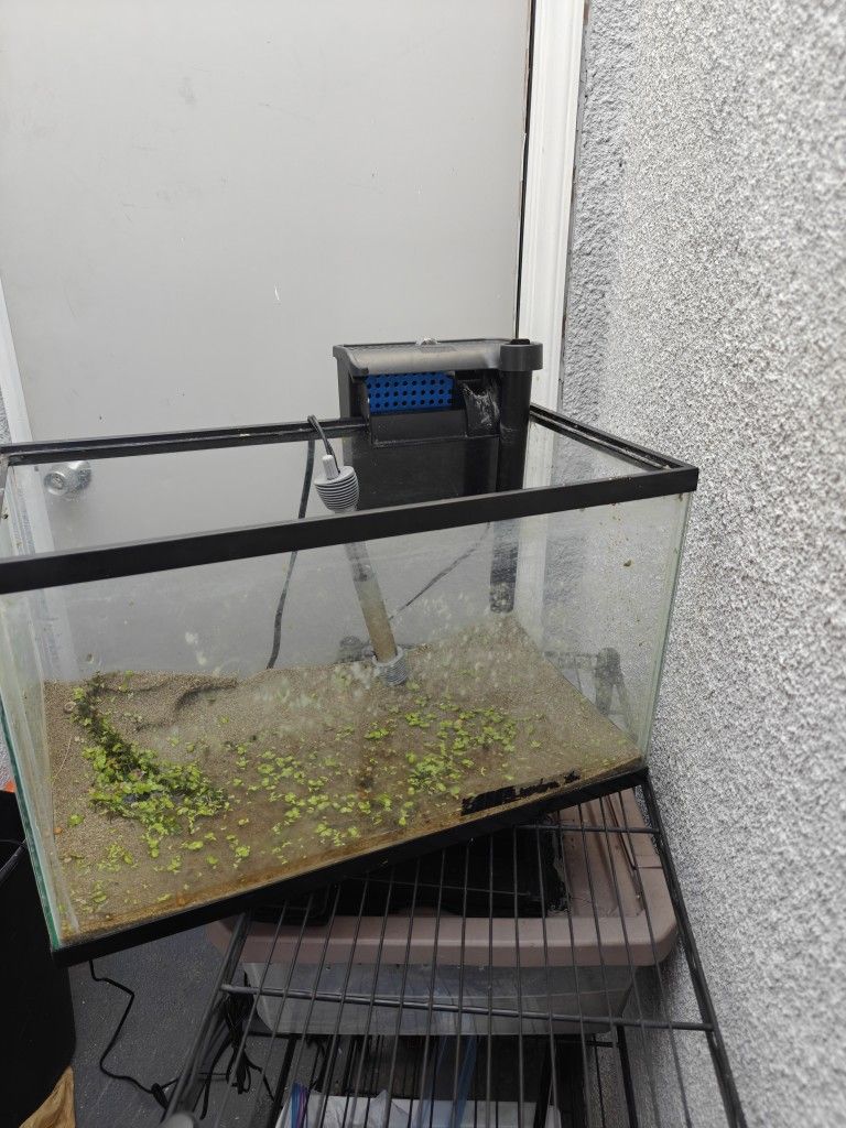 10 Gallon Fish Tank With Heater And Filter