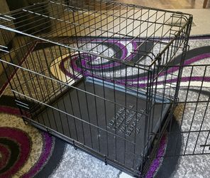 Dog Cage