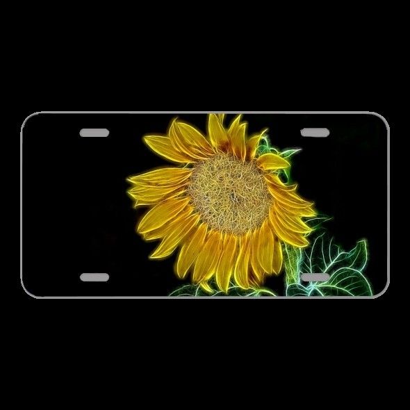 License Plate Novelty Car Front Graphic Light Painting Flower Blossom