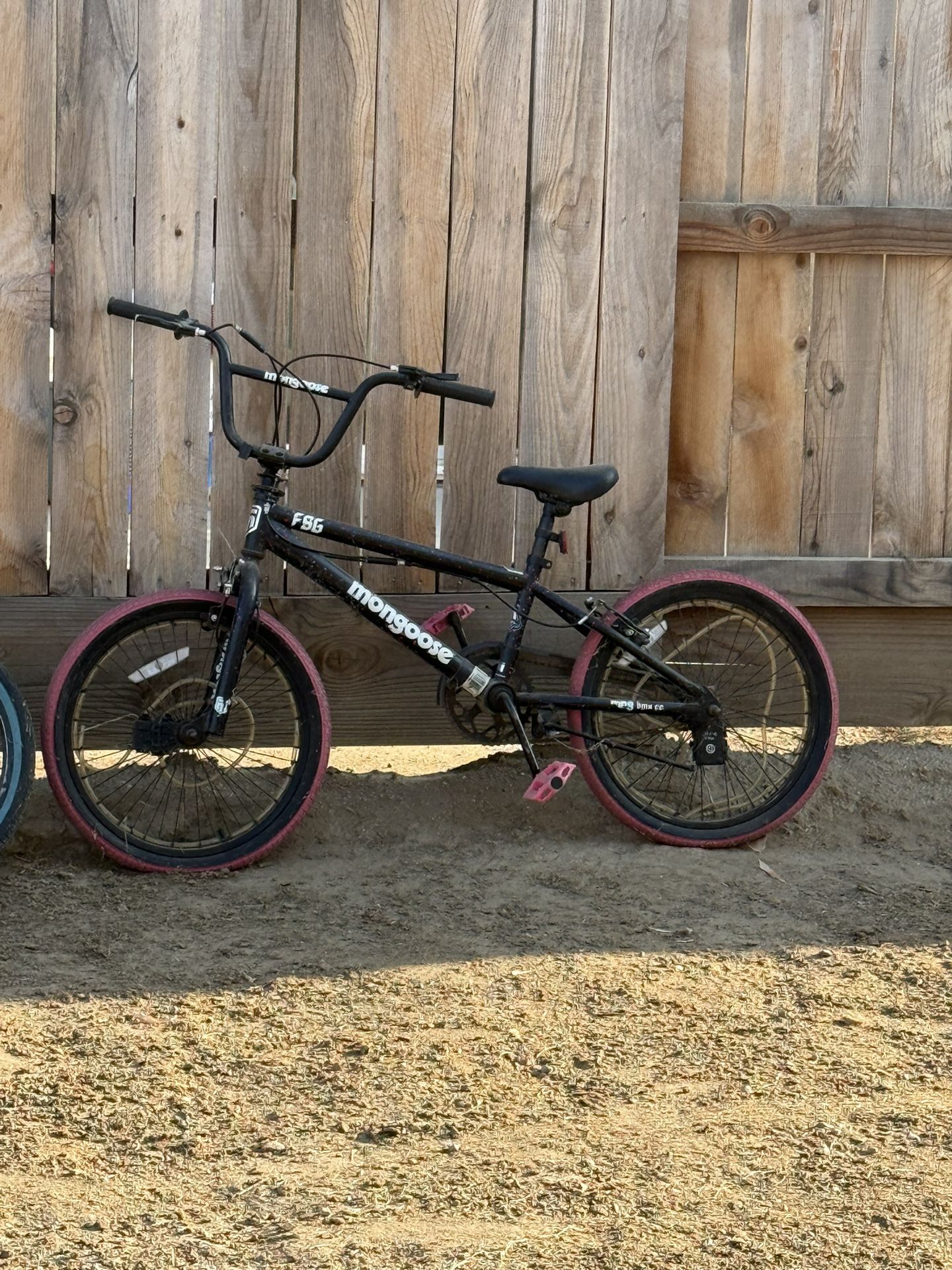 Girl Bikes 