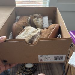 T Bear Stuffie Uggs Preschool 10