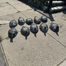 Quack decoy company Canada goose decoy lot