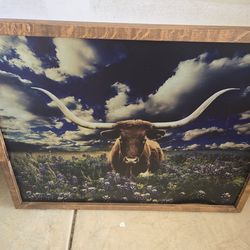 Texas Longhorn Bevo in Bluebonnet Pasture