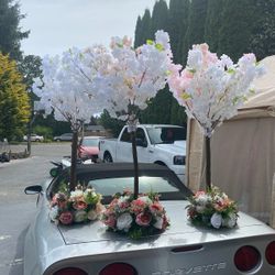 Great For Events Like Weddings Bdays Etc