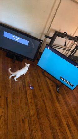 50 Inch TVs With Remotes
