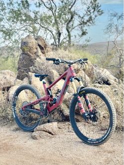 Santa Cruz 5010 - Medium