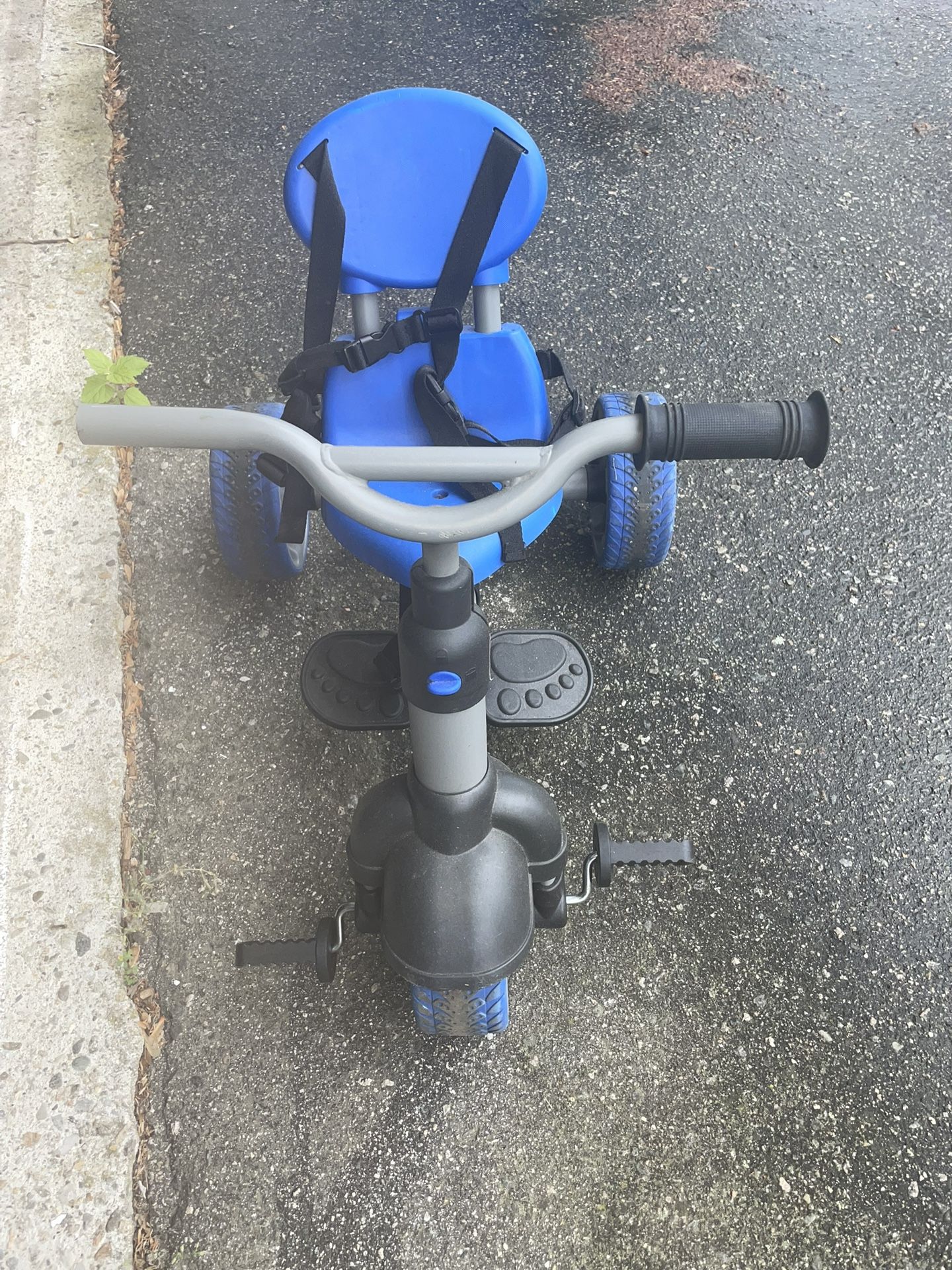 Toddler Tricycle