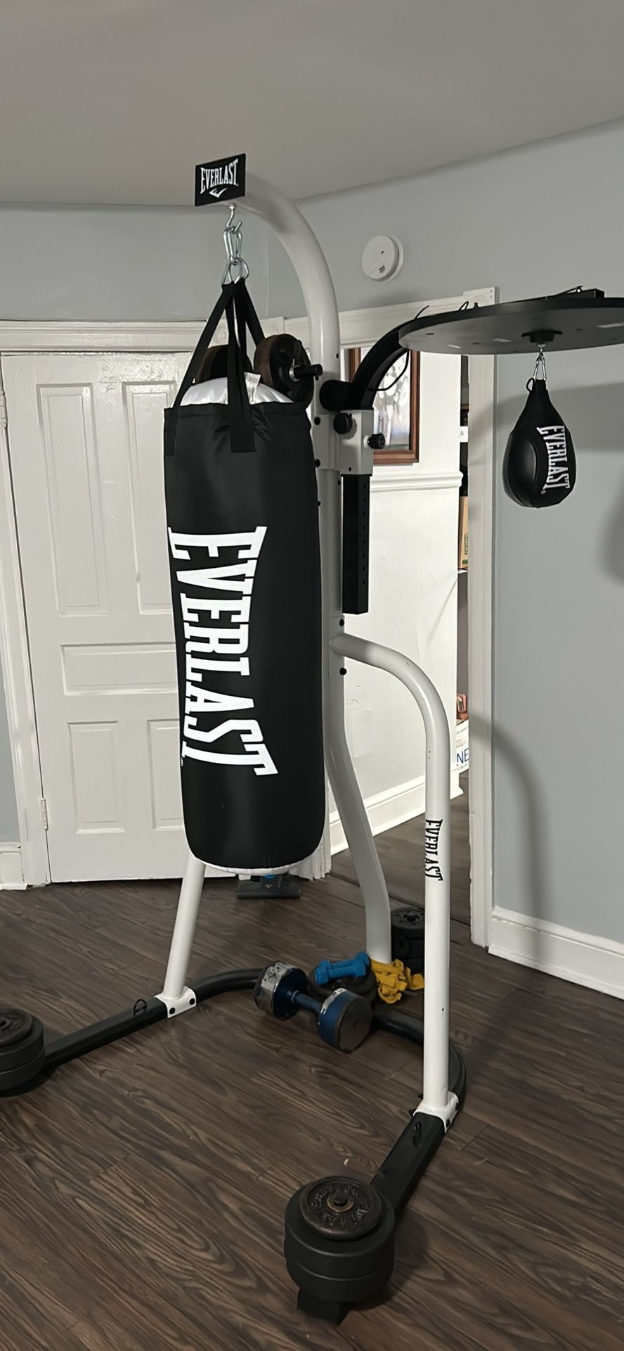 Everlast Heavy bag, Stand, And Speed Bag