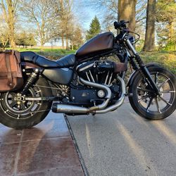 2019 Harley Davidson Sportster Iron XL 883N