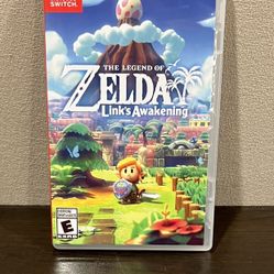 The Legend Of Zelda Link’s Awakening Nintendo Switch 