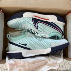 Nike Zoom Court Pro Tennis Shoe