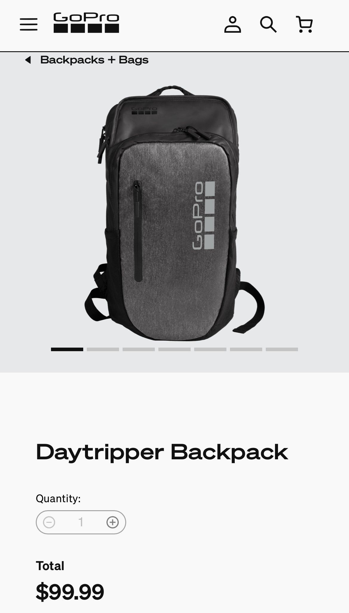 GoPro DayTripper Backpack
