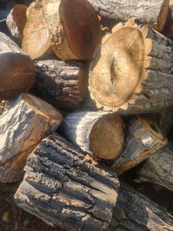 Firewood