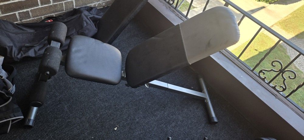 Dumbbell Bench 