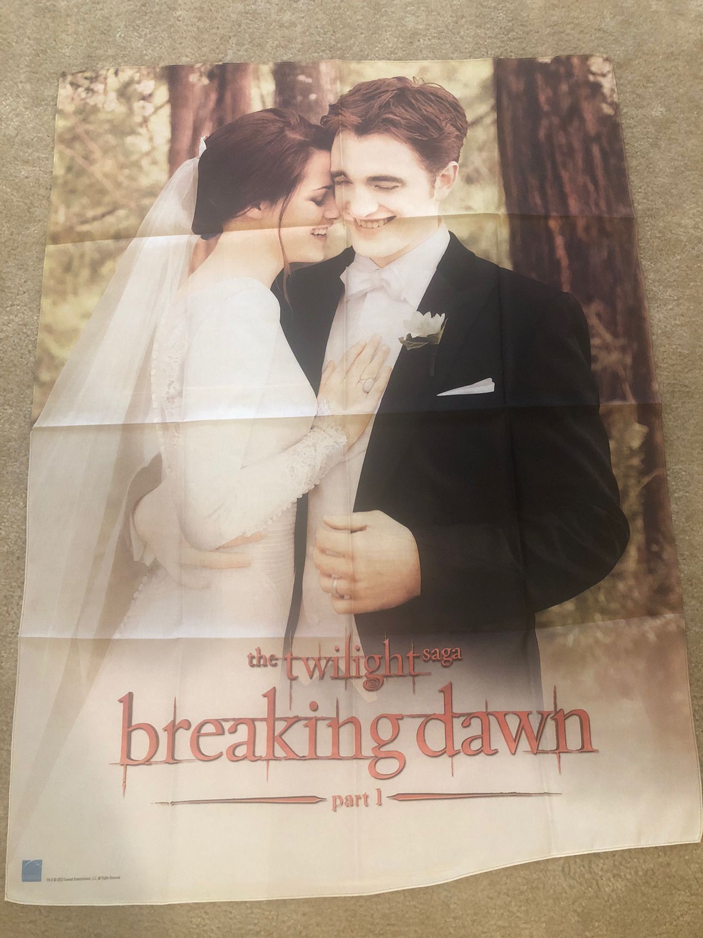 Twilight Breaking Dawn Part 1 Fabric Poster