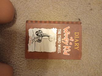 13 Diary Of A Wimpy Kid books