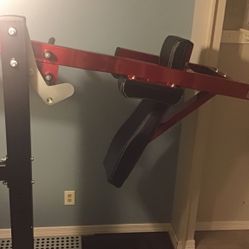 Pendulum Squat 