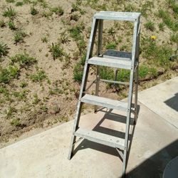 4' Metal Ladder