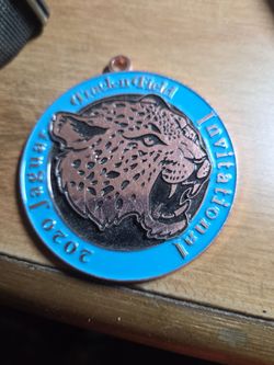 Jaguars metal
