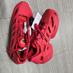 Red Adidas Sneaker