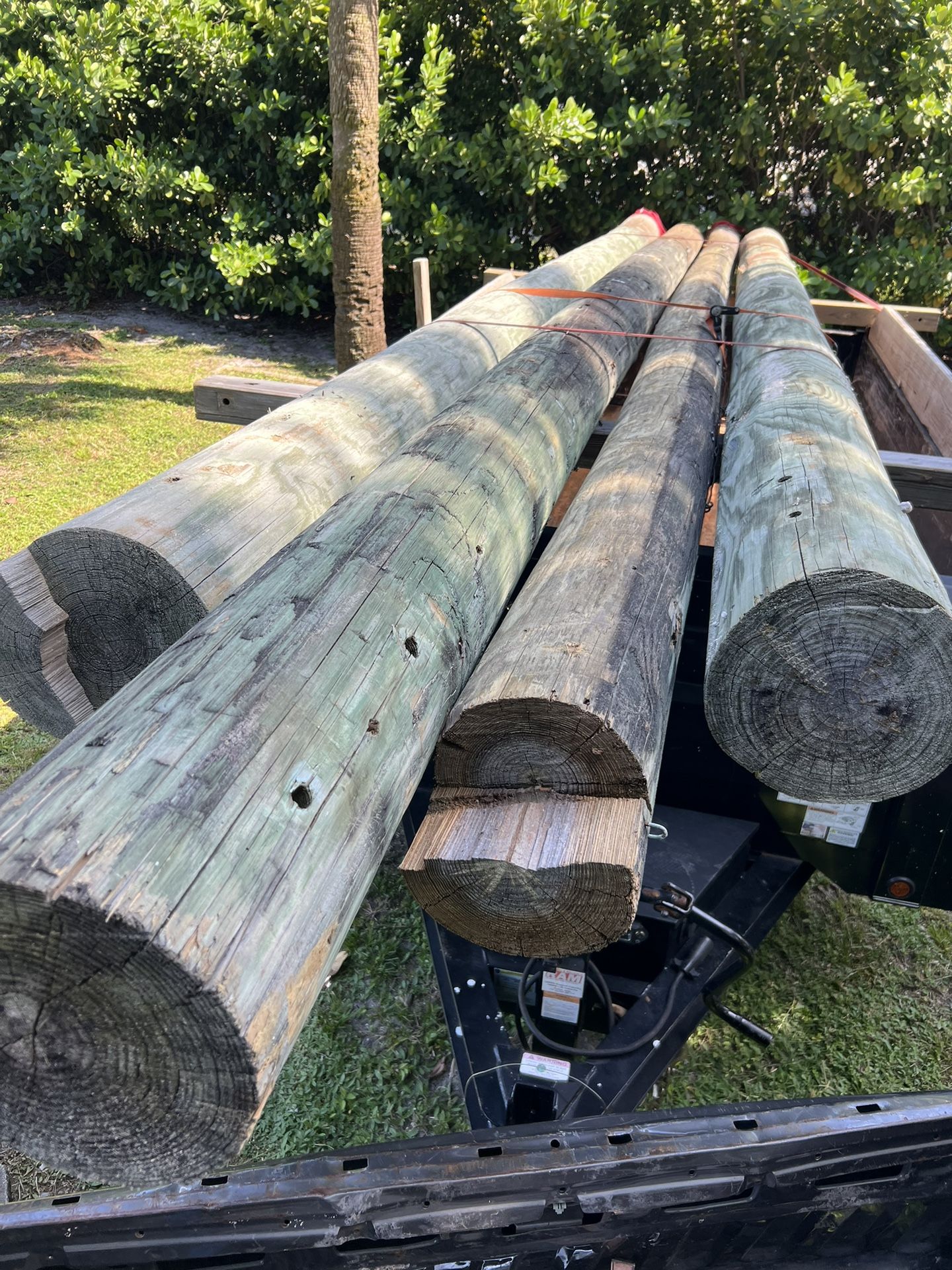 Marine grade pressure treated pilings/ telephone poles for Sale in Fort ...