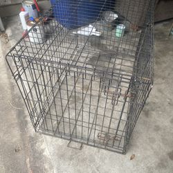 2 Black Dog Cages